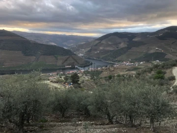 Moradia T2 para Venda em Alijo