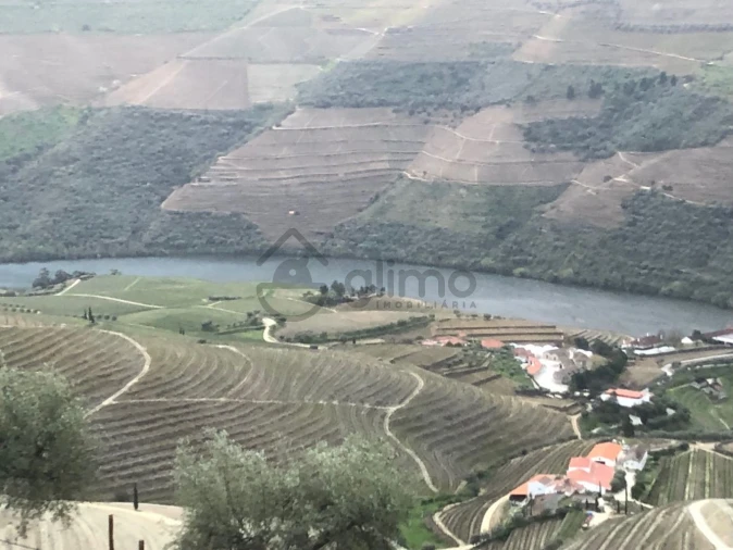 Moradia T2 para Venda em Alijo Foto 2