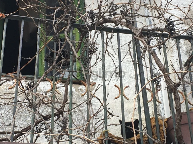 Moradia T2 para Venda em Alijo Foto 15