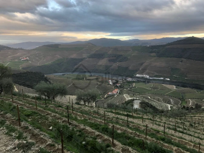 Moradia T2 para Venda em Alijo Foto 16