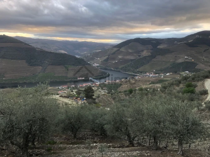 Moradia T2 para Venda em Alijo Foto 3