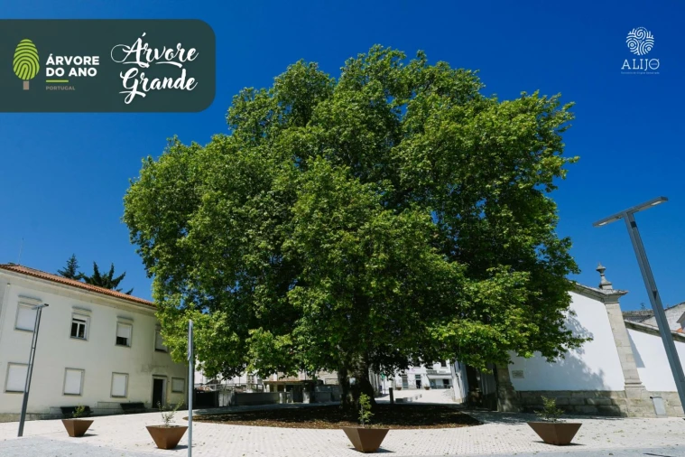 Moradia T2 para Venda em Alijo Foto 20