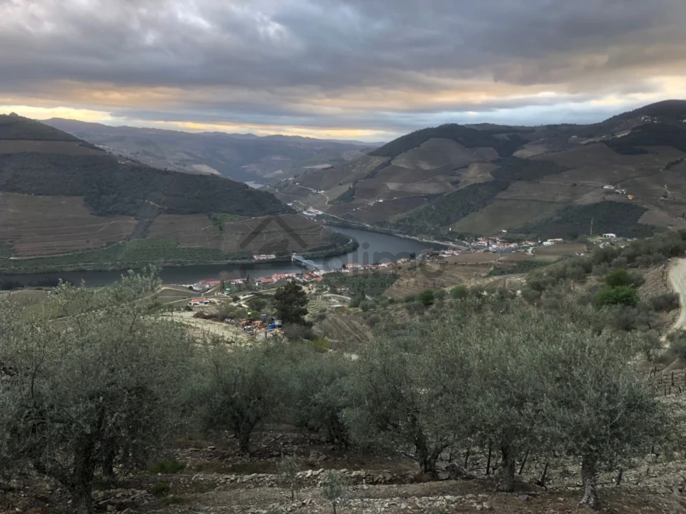 Moradia T2 para Venda em Alijo Foto 3