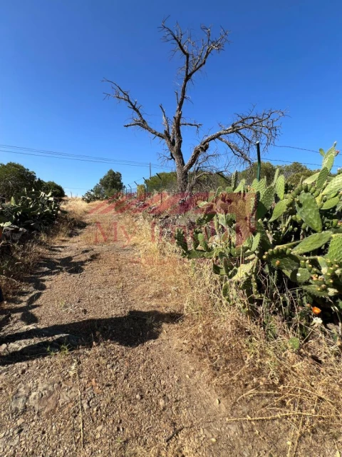 Terreno para Venda em Alcoutim e Pereiro