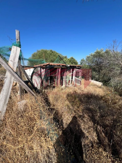 Terreno para Venda em Alcoutim e Pereiro