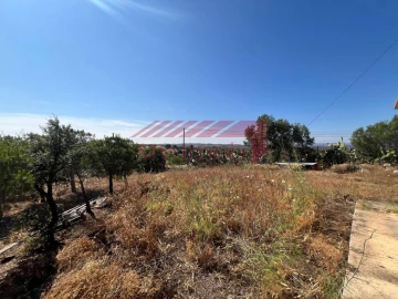 Terreno para Venda em Alcoutim e Pereiro