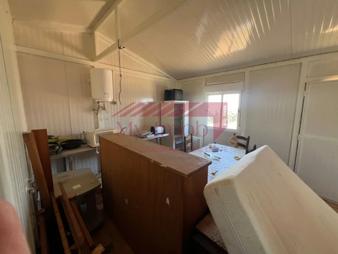 Terreno para Venda em Alcoutim e Pereiro Foto 17