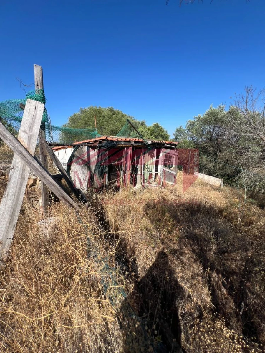 Terreno para Venda em Alcoutim e Pereiro Foto 9