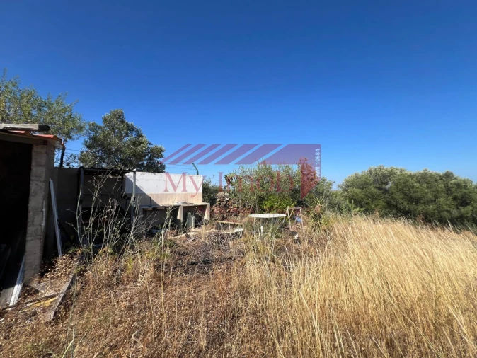 Terreno para Venda em Alcoutim e Pereiro Foto 5