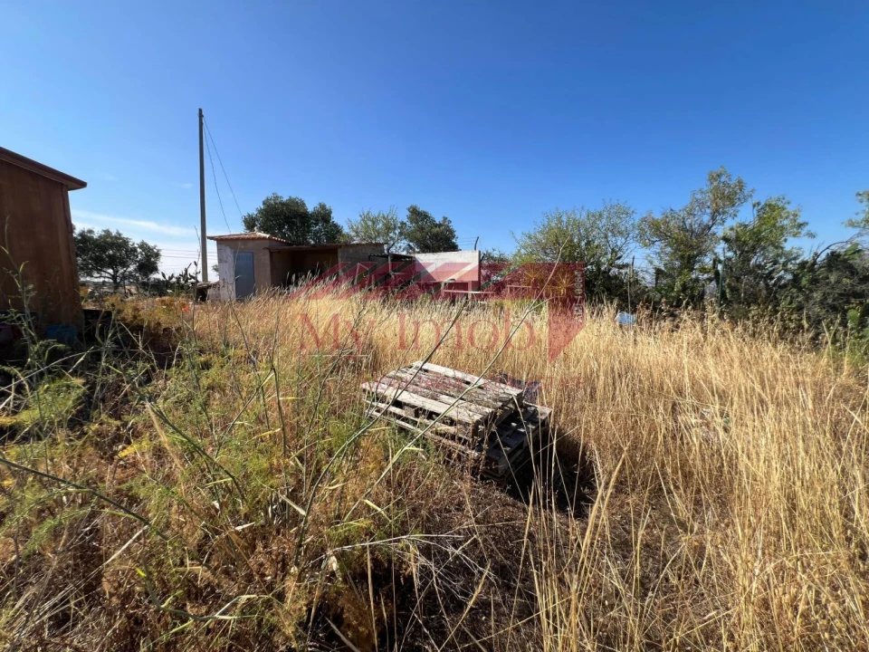 Terreno para Venda em Alcoutim e Pereiro Foto 10
