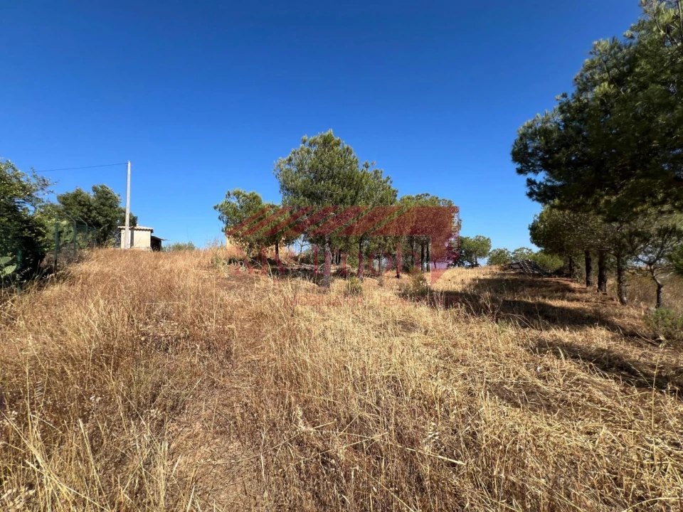 Terreno para Venda em Alcoutim e Pereiro Foto 2