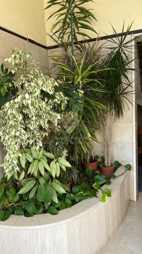 Apartamento T2 para Venda em Vila do Conde