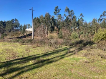 Terreno para Venda em Vilela