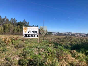 Terreno para Venda em Vilela