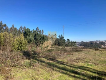 Terreno para Venda em Vilela