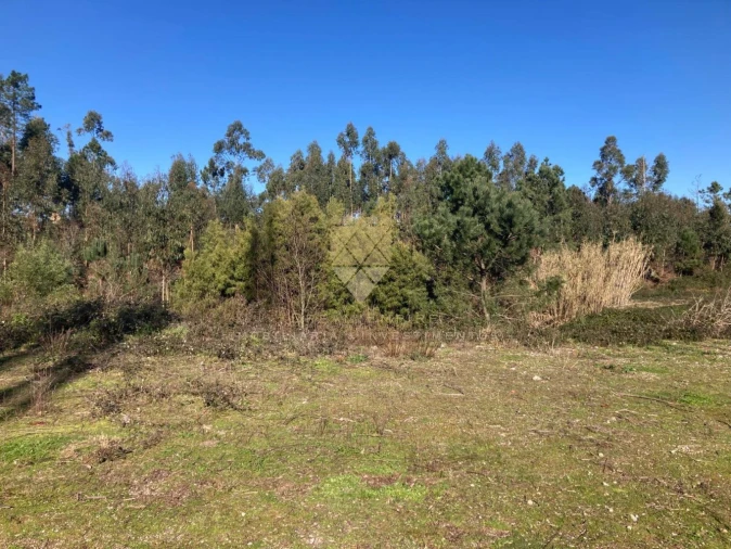 Terreno para Venda em Vilela Foto 12