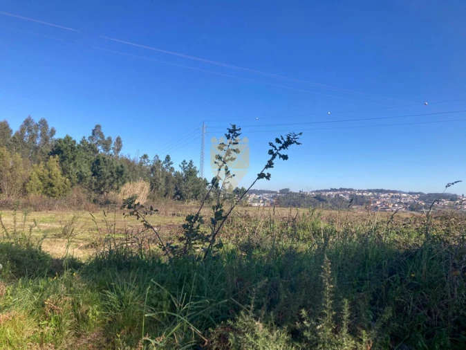 Terreno para Venda em Vilela Foto 2
