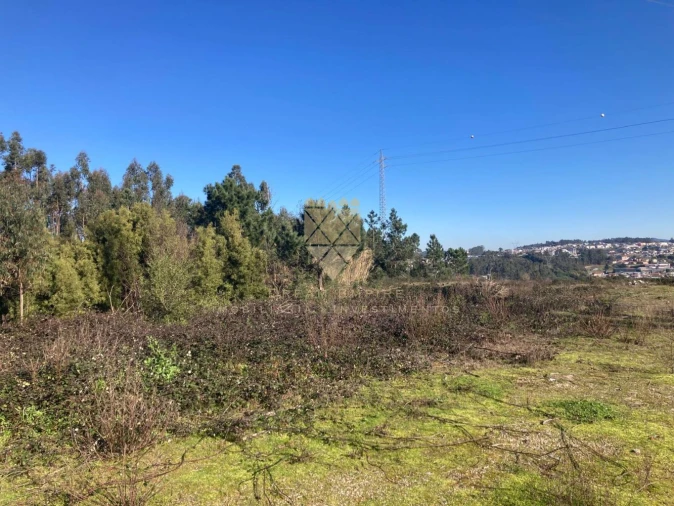 Terreno para Venda em Vilela Foto 3