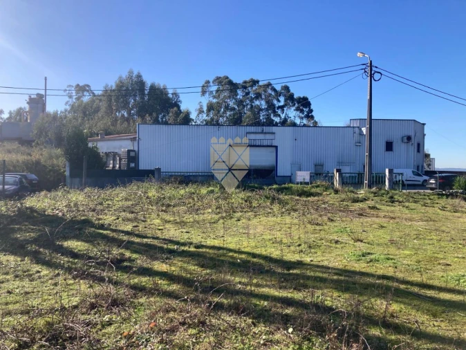 Terreno para Venda em Vilela Foto 9