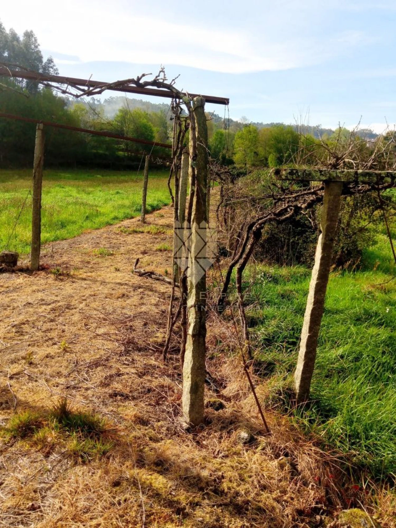 Terreno para Venda em Fonte Arcada Foto 4
