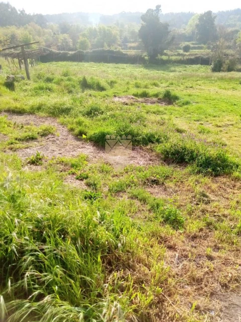 Terreno para Venda em Fonte Arcada