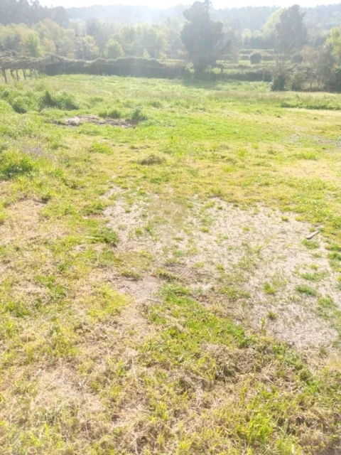 Terreno para Venda em Fonte Arcada