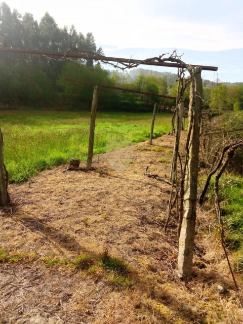 Terreno para Venda em Fonte Arcada