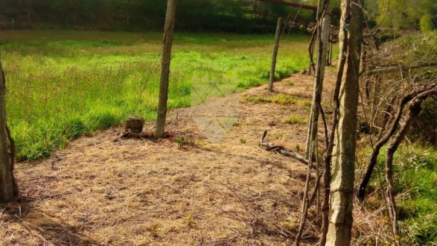 Terreno para Venda em Fonte Arcada