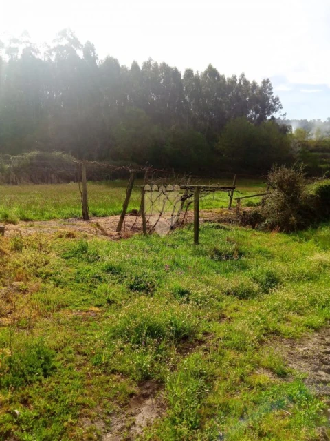 Terreno para Venda em Fonte Arcada