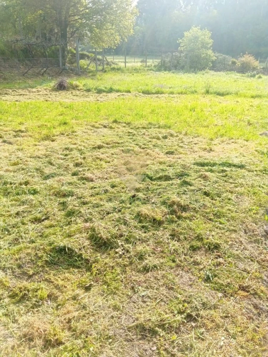Terreno para Venda em Fonte Arcada Foto 4