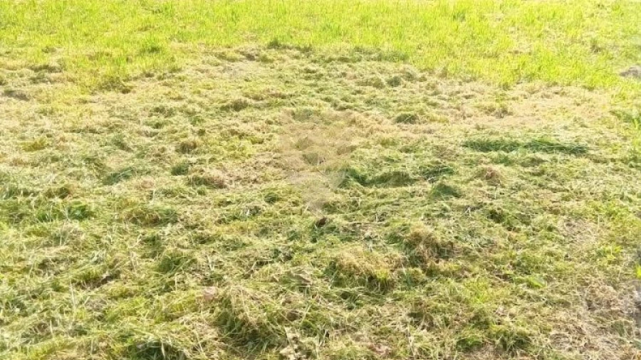 Terreno para Venda em Fonte Arcada