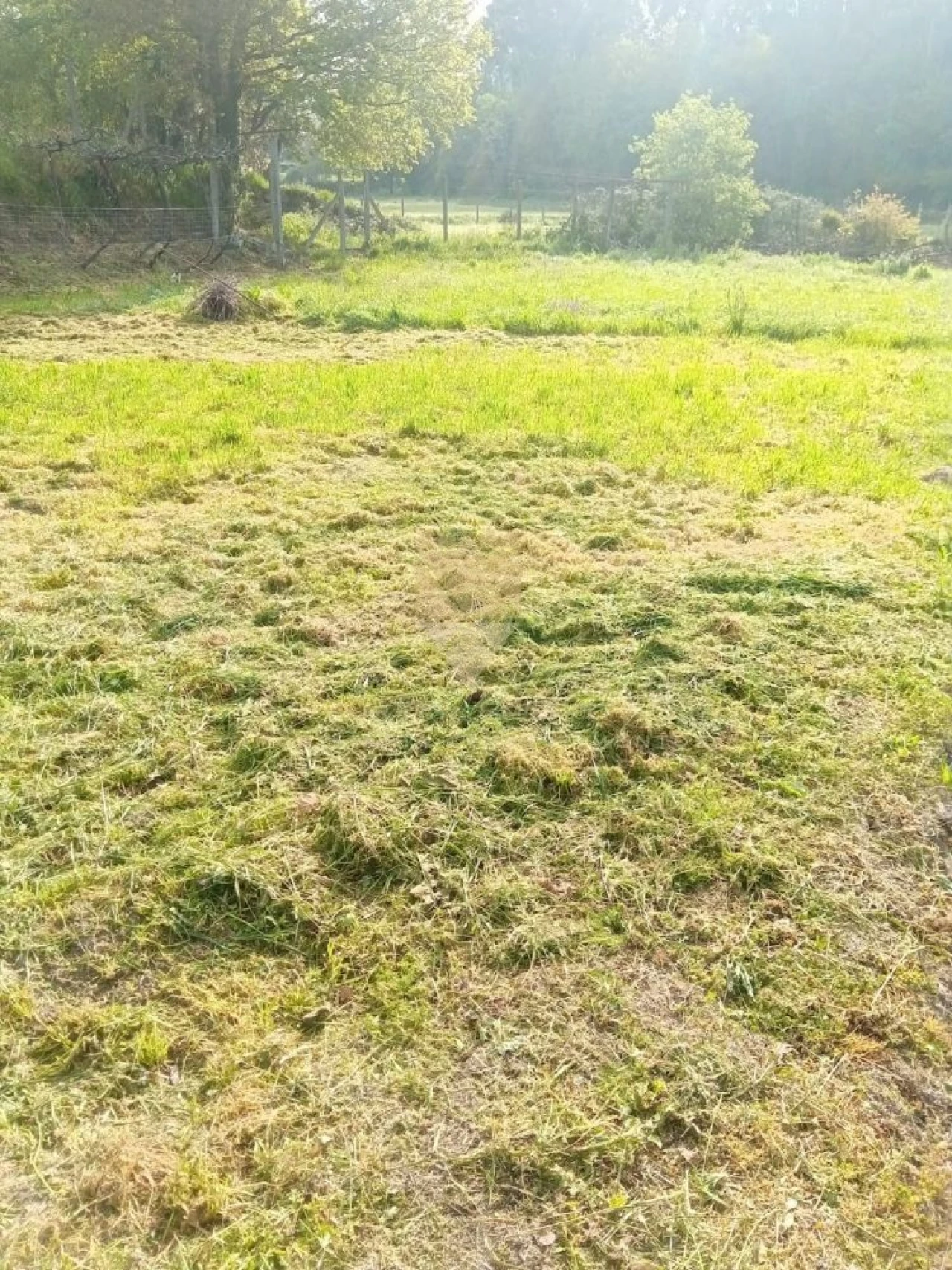 Terreno para Venda em Fonte Arcada Foto 4