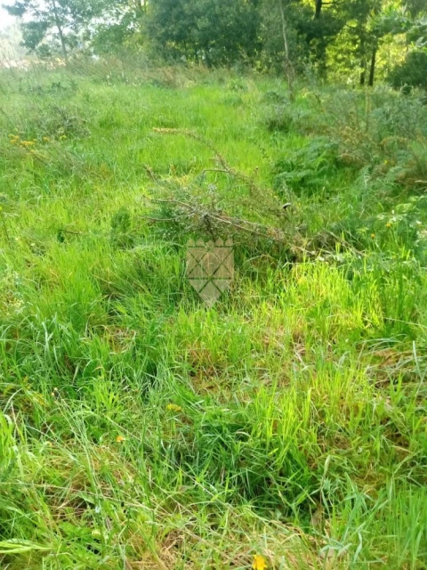 Terreno para Venda em Fonte Arcada