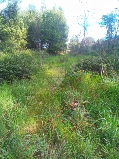 Terreno para Venda em Fonte Arcada