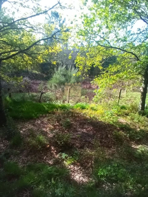 Terreno para Venda em Fonte Arcada