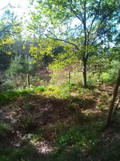 Terreno para Venda em Fonte Arcada