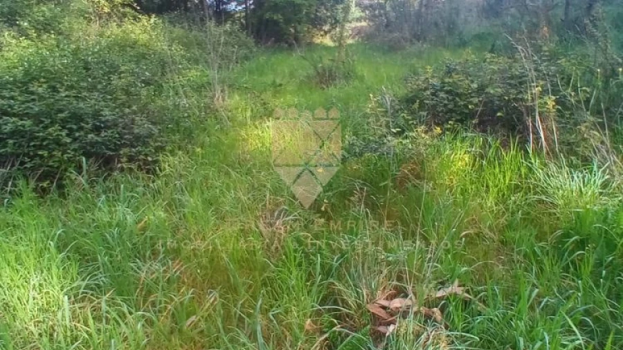 Terreno para Venda em Fonte Arcada