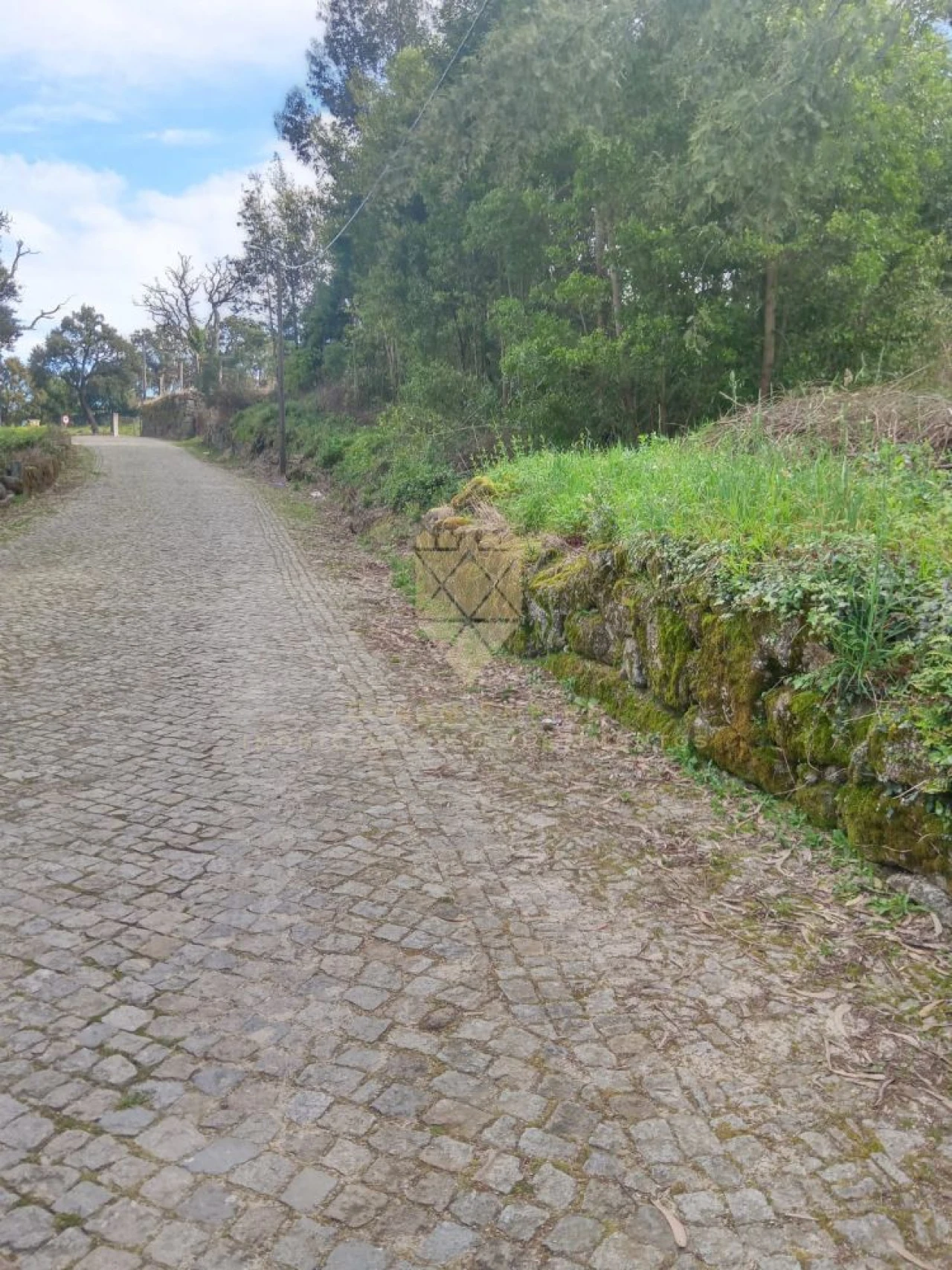 Terreno para Venda em Fonte Arcada Foto 3