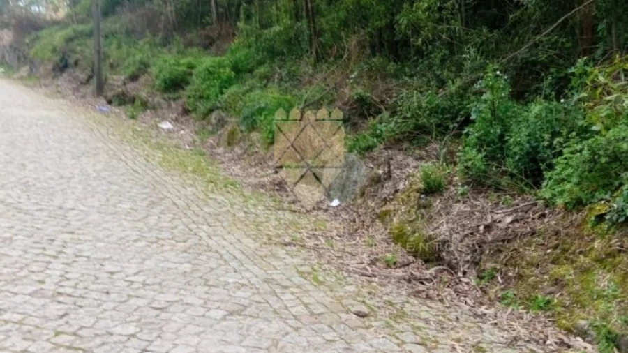 Terreno para Venda em Fonte Arcada