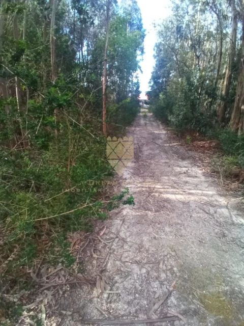 Terreno para Venda em Paço de Sousa