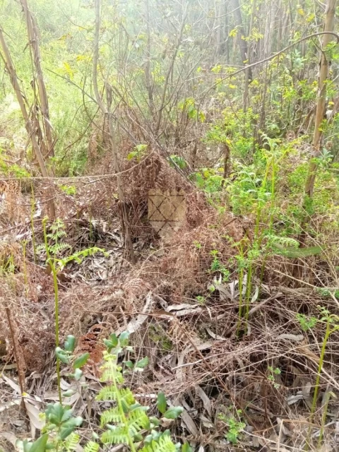 Terreno para Venda em Paço de Sousa