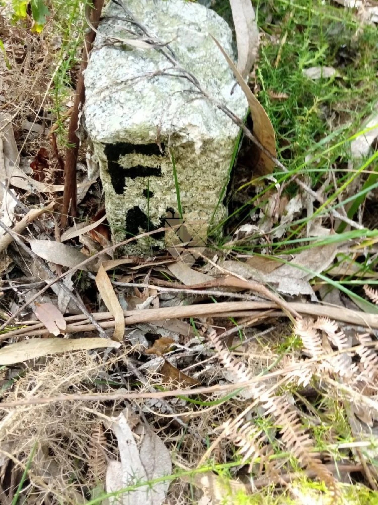 Terreno para Venda em Paço de Sousa Foto 7