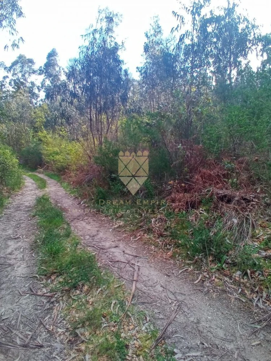 Terreno para Venda em Paço de Sousa Foto 2
