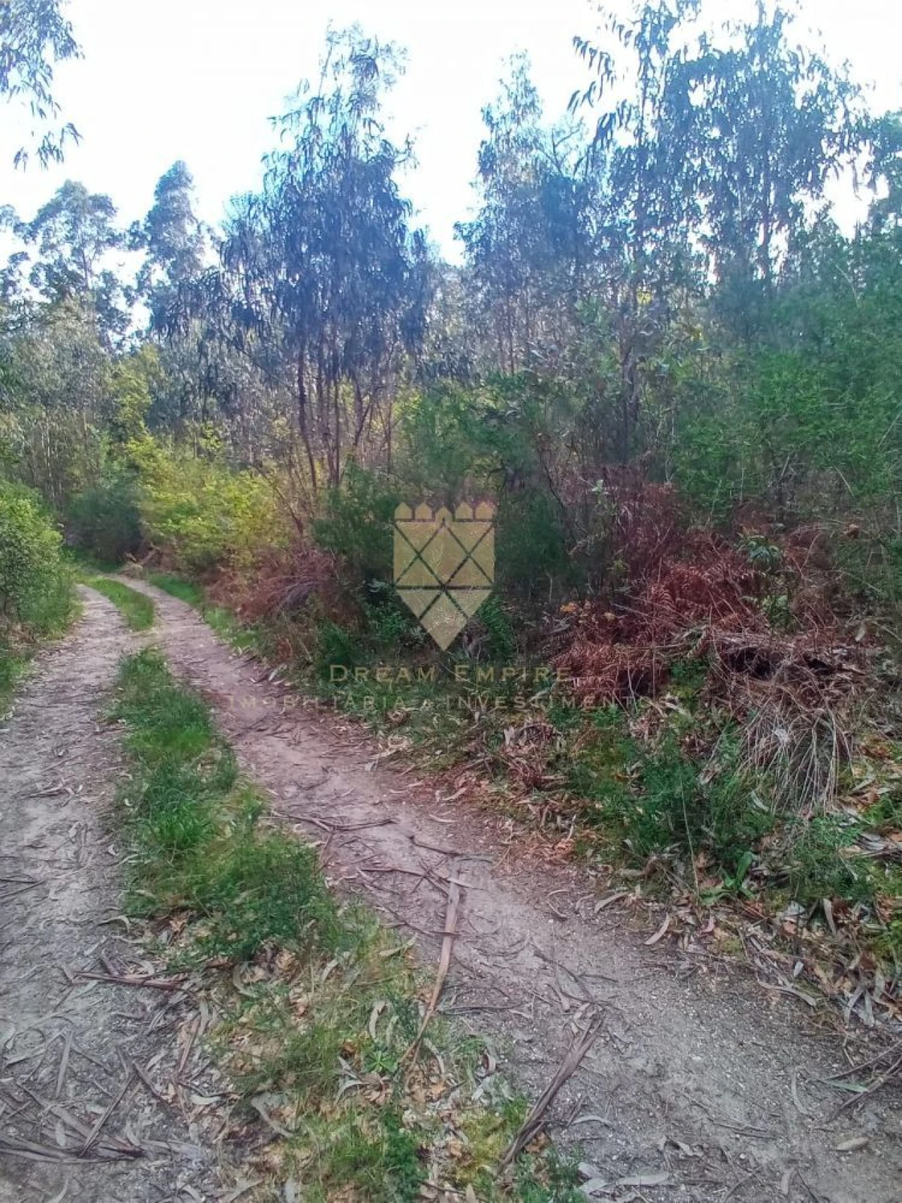 Terreno para Venda em Paço de Sousa Foto 2