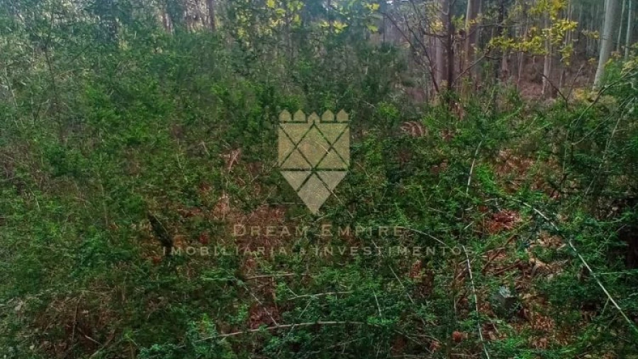 Terreno para Venda em Paço de Sousa