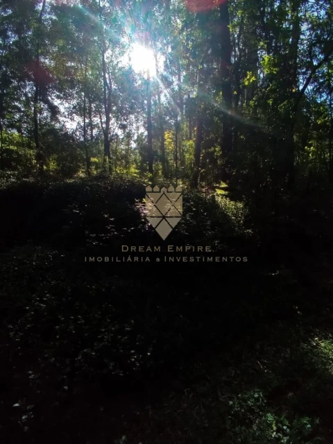 Terreno para Venda em Paço de Sousa