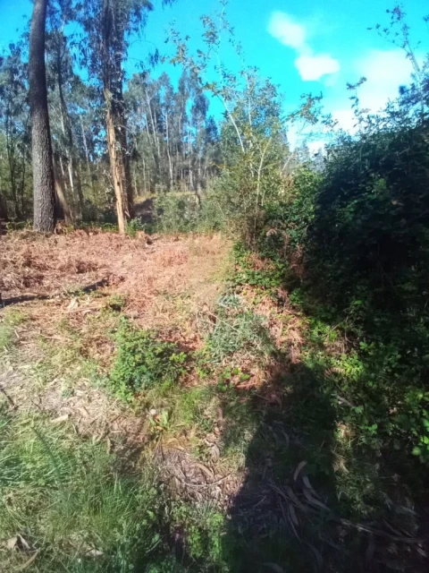 Terreno para Venda em Paço de Sousa