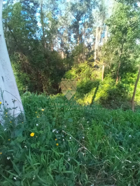 Terreno para Venda em Paço de Sousa