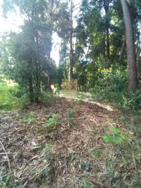Terreno para Venda em Paço de Sousa