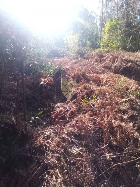 Terreno para Venda em Paço de Sousa